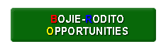 Bojie-Rodito Opportunities
